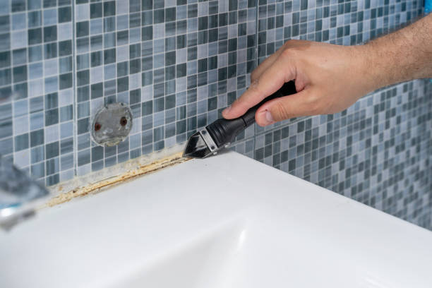 Best Insurance-Related Mold Remediation in Waverly, TN