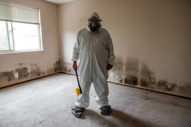Best Residential Mold Remediation in Waverly, TN